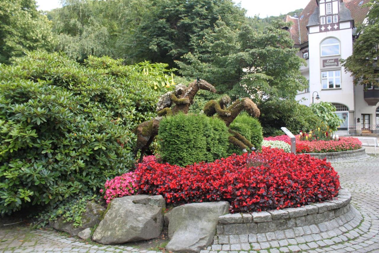 Stadtparkhotel Alexandra Bad Harzburg Exterior foto